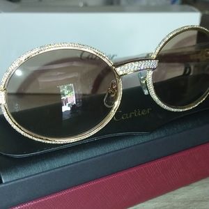 Vintage Cartier Giverny Palisander Sun Frames